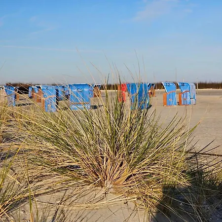 Dünenwind Norden